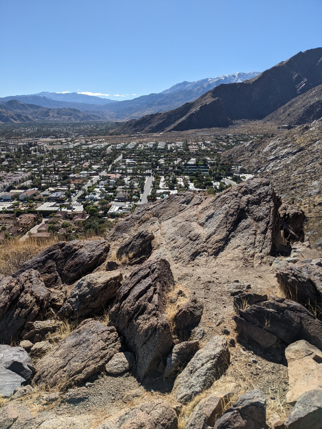 Palm Springs One Year Later